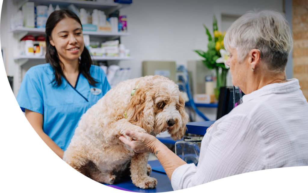 Vet Surgery in Coffs Harbour. (02) 6656 4024 today!