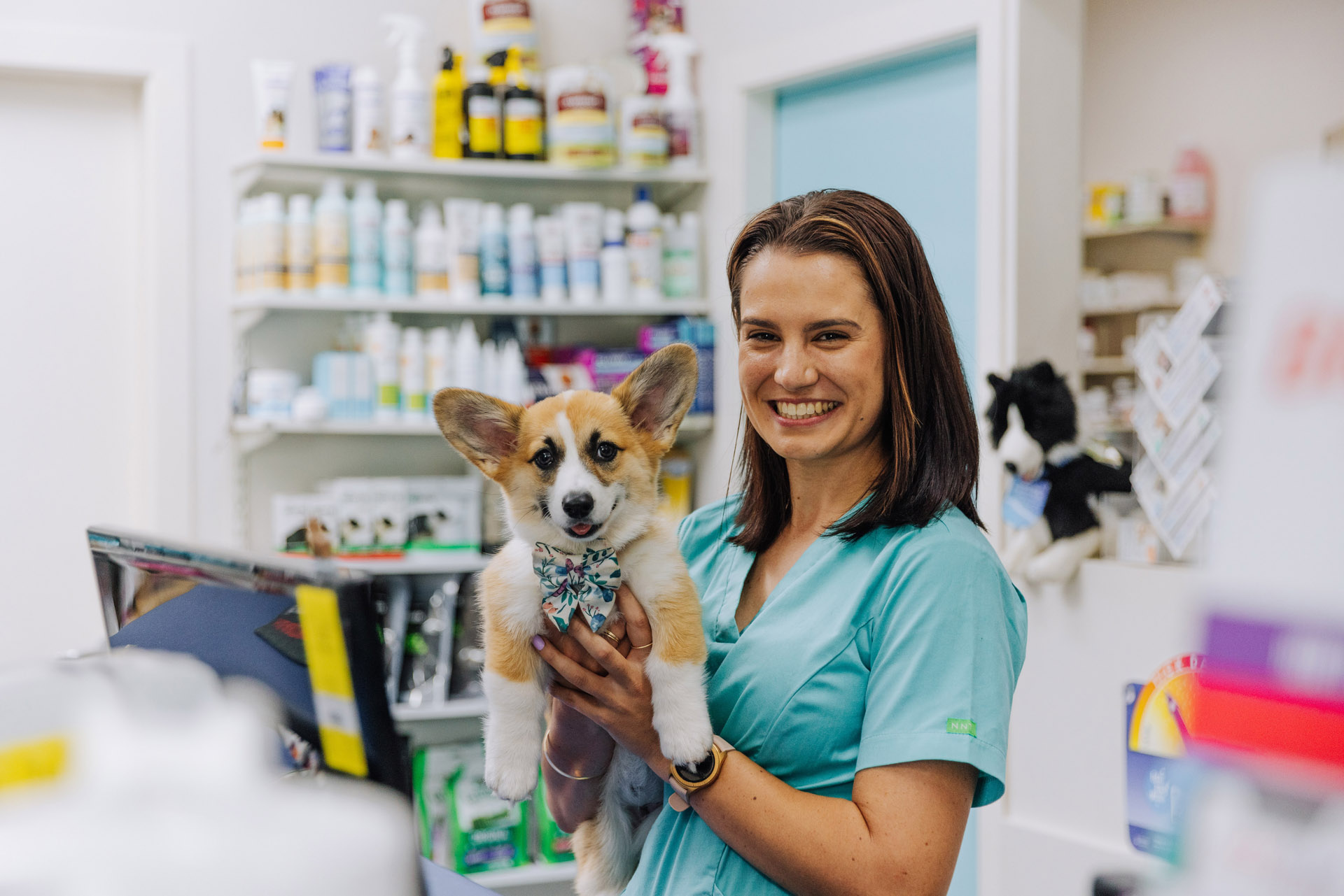 Vet Surgery in Coffs Harbour. (02) 6656 4024 today!